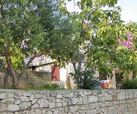Nedeljka * טרוגיר
